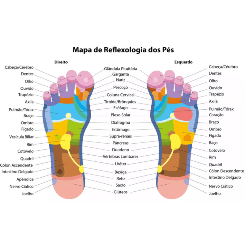 Kit Reflexologia Completo: Meias com Mapa Podal Guia + Massageador Terapêutico Manual – Alívio do Estresse