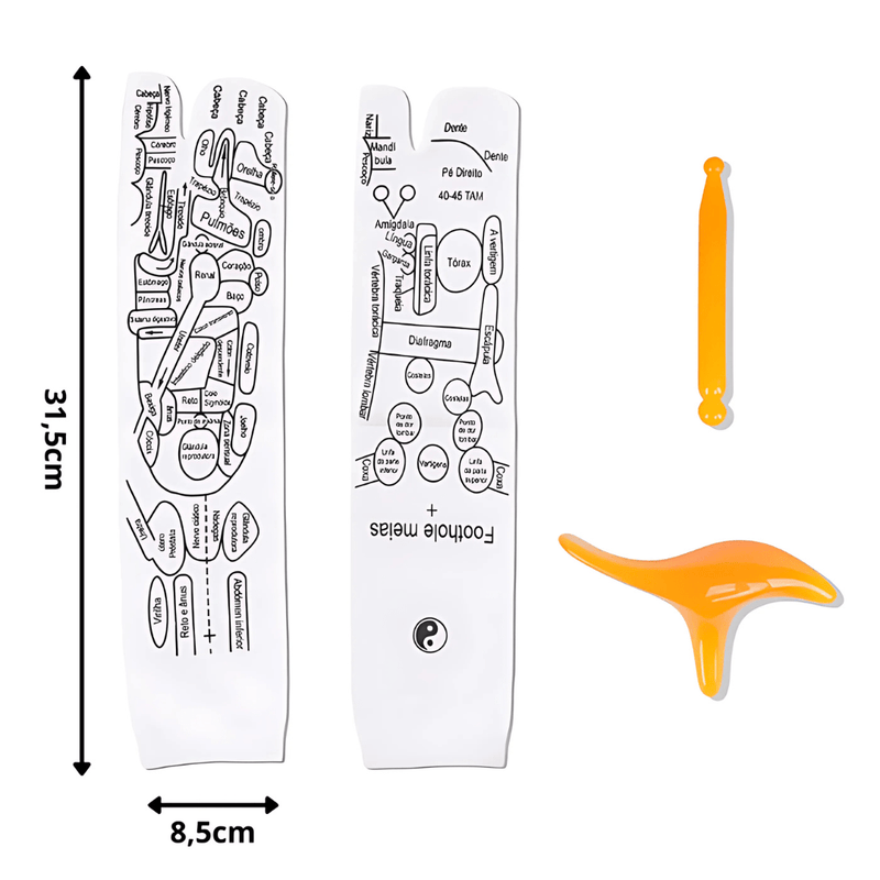 Kit Reflexologia Completo: Meias com Mapa Podal Guia + Massageador Terapêutico Manual – Alívio do Estresse