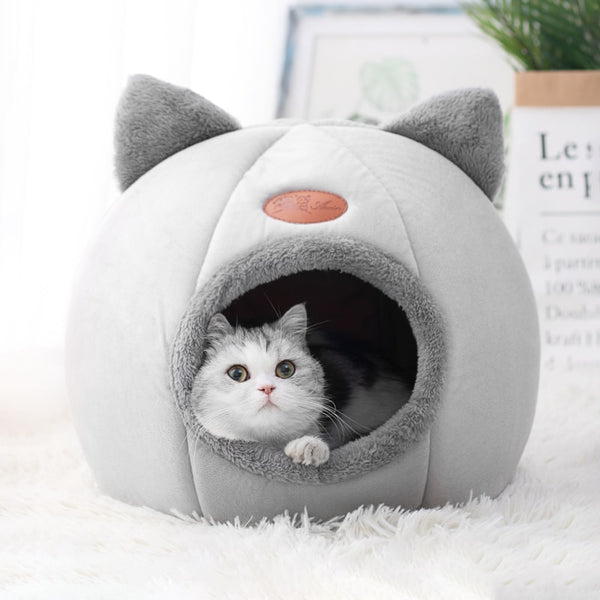 Cama Para Gatos - Promoção de Inverno