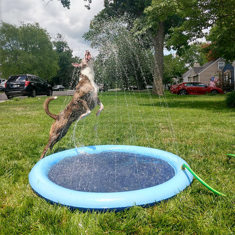 Piscina Inflável para Pets - DogMax